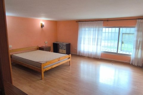 Lokal usługowy w Naron, A Coruna, Hiszpania 172 mkw. nr 185316 – zdjęcie 11