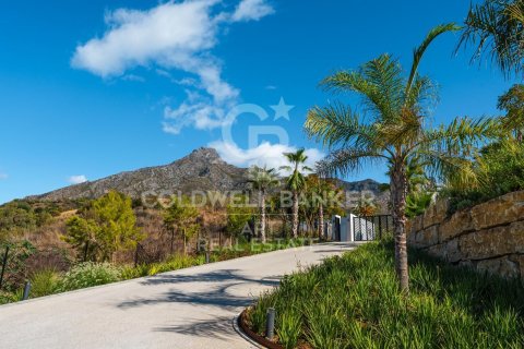 Villa till salu i Marbella, Malaga, Spanien 5 sovrum, 825 kvm. Nr. 157443 - foto 23