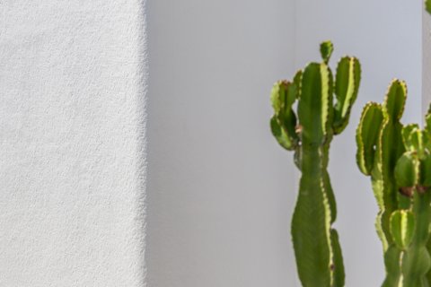 Willa w Los Alcazares, Murcia, Hiszpania 3 sypialnie, 115 mkw. nr 135836 – zdjęcie 14