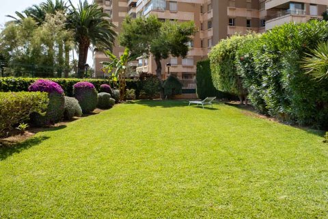 Apartment for rent in Palma de Majorca, Mallorca, Spain 3 bedrooms, 105 sq.m. No. 178282 - photo 3