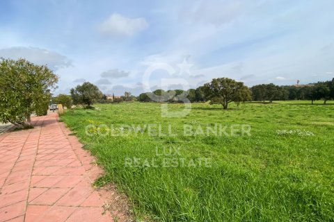 Parcela en venta en Peralada, Gerona, España 2498 m2 No. 159431 - foto 1