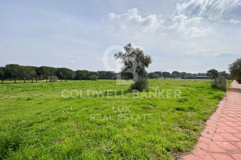 Продажа земельного участка в Пералада, Герона, Испания 2498м2 №159431 - фото 7