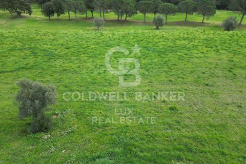 Parcela en venta en Peralada, Gerona, España 2498 m2 No. 159431 - foto 8