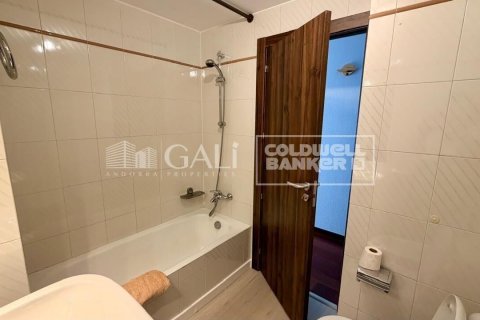 Huoneisto vuokrattavana Principado De Andorra (Ninguna Poblacion Tiene C.P.), Lleida, Espanja, 4 makuuhuonetta, 130 m2 No. 178432 - kuva 21