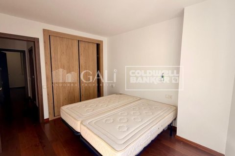 Huoneisto vuokrattavana Principado De Andorra (Ninguna Poblacion Tiene C.P.), Lleida, Espanja, 4 makuuhuonetta, 130 m2 No. 178432 - kuva 13