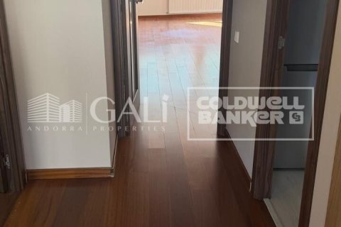 Huoneisto vuokrattavana Principado De Andorra (Ninguna Poblacion Tiene C.P.), Lleida, Espanja, 4 makuuhuonetta, 130 m2 No. 178432 - kuva 22