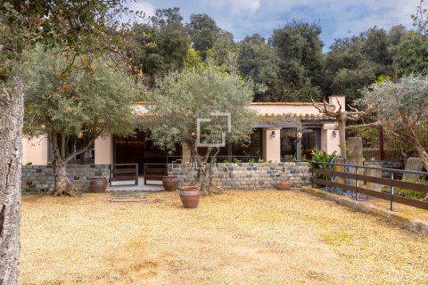 Villa for sale in Sant Pol de Mar, Barcelona, Spain 5 bedrooms, 713 sq.m. No. 164634 - photo 19