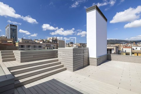 Penthouse w Barcelona, Hiszpania 3 sypialnie, 368 mkw. nr 164639 – zdjęcie 4