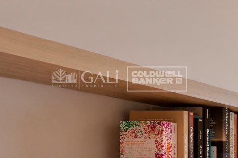 Dom w Principado De Andorra (Ninguna Poblacion Tiene C.P.), Lleida, Hiszpania 4 sypialnie, 480 mkw. nr 159195 – zdjęcie 18