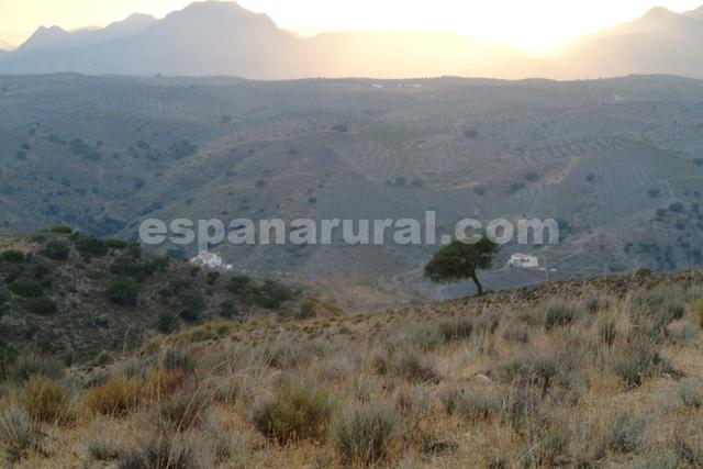 Propiedad comercial en Taberno, Almería, España 8 dormitorios, 380 m2 No. 77997