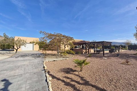 Villa pārdošanā Sax, Alicante, Spānijā 3 istabas, 170 m2 Nr. 142804 - attēls 8