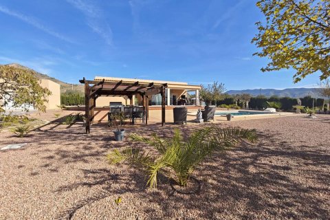 Villa pārdošanā Sax, Alicante, Spānijā 3 istabas, 170 m2 Nr. 142804 - attēls 9