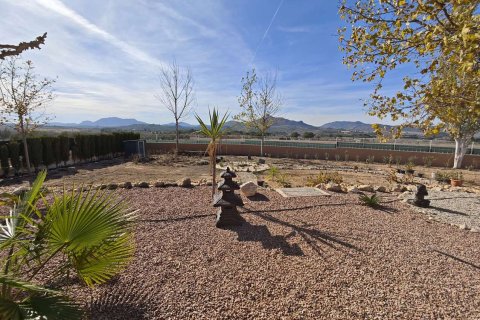 Villa pārdošanā Sax, Alicante, Spānijā 3 istabas, 170 m2 Nr. 142804 - attēls 6