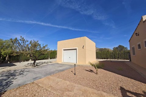 Villa pārdošanā Sax, Alicante, Spānijā 3 istabas, 170 m2 Nr. 142804 - attēls 13