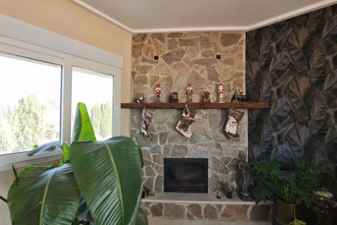 Villa pārdošanā Sax, Alicante, Spānijā 3 istabas, 170 m2 Nr. 142804 - attēls 20