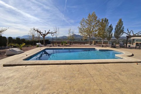 Villa pārdošanā Sax, Alicante, Spānijā 3 istabas, 170 m2 Nr. 142804 - attēls 10