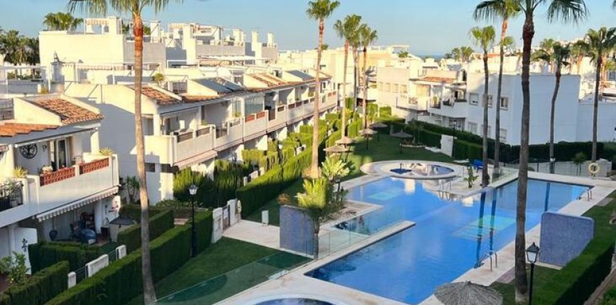 Apartment in Villamartin, Alicante, Spain 3 bedrooms, 90 sq.m. No. 148398