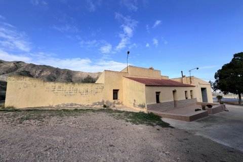 Finca for sale Fuente Alamo, Murcia, Spain 3 bedrooms, 428 sq.m. No. 116056 - photo 2