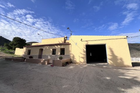 Finca for sale Fuente Alamo, Murcia, Spain 3 bedrooms, 428 sq.m. No. 116056 - photo 3