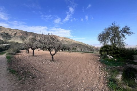 Finca for sale Fuente Alamo, Murcia, Spain 3 bedrooms, 428 sq.m. No. 116056 - photo 18