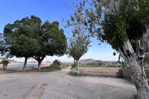 Finca for sale Fuente Alamo, Murcia, Spain 3 bedrooms, 428 sq.m. No. 116056 - photo 15