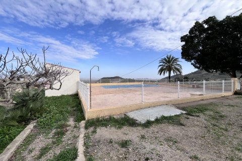 Finca for sale Fuente Alamo, Murcia, Spain 3 bedrooms, 428 sq.m. No. 116056 - photo 16