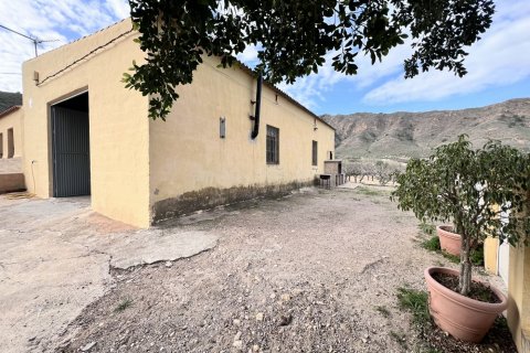Finca for sale Fuente Alamo, Murcia, Spain 3 bedrooms, 428 sq.m. No. 116056 - photo 13