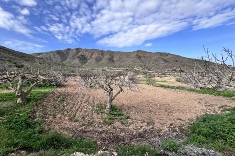 Finca for sale Fuente Alamo, Murcia, Spain 3 bedrooms, 428 sq.m. No. 116056 - photo 19