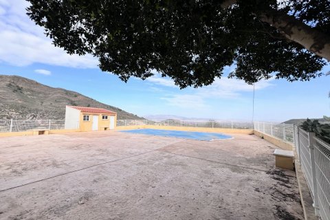 Finca for sale Fuente Alamo, Murcia, Spain 3 bedrooms, 428 sq.m. No. 116056 - photo 17