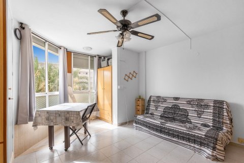 Apartamento en venta en Torreblanca, Castellón, España 32 m2 No. 193005 - foto 3