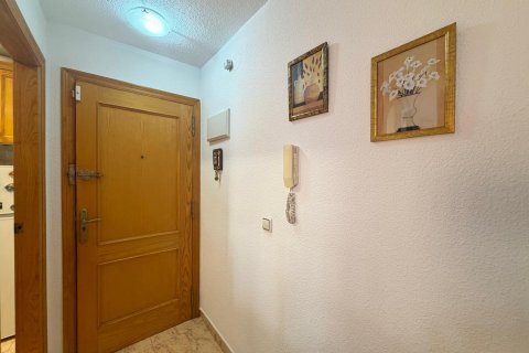 Продажа квартиры в Торревьеха, Аликанте, Испания 2 спальни, 57м2 №193008 - фото 4