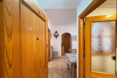 Продажа квартиры в Торревьеха, Аликанте, Испания 2 спальни, 57м2 №193008 - фото 2