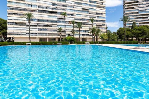 Apartment for sale in Alicante, Spain 4 bedrooms, 140 sq.m. No. 193608 - photo 23