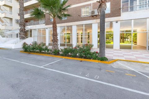 Apartment for sale in Alicante, Spain 4 bedrooms, 140 sq.m. No. 193608 - photo 30