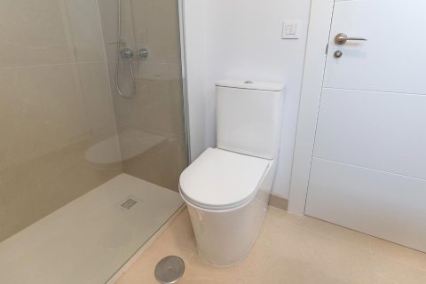 Apartment for sale in Alicante, Spain 4 bedrooms, 140 sq.m. No. 193608 - photo 22