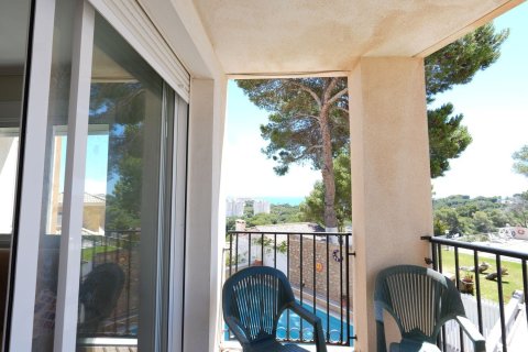Apartament w Dehesa De Campoamor, Alicante, Hiszpania 3 sypialnie, 114 mkw. nr 181147 – zdjęcie 12