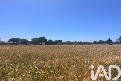 Commercial property in Vejer de la Frontera, Cadiz, Spain No. 172111
