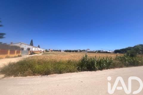 Commercial property à vendre à Vejer de la Frontera, Cadiz, EspagneNo. 172111 - photo 6