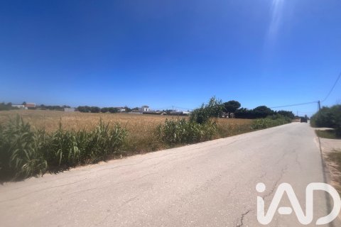Commercial property à vendre à Vejer de la Frontera, Cadiz, EspagneNo. 172111 - photo 10