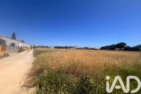 Commercial property à vendre à Vejer de la Frontera, Cadiz, EspagneNo. 172111 - photo 4
