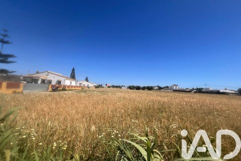 Commercial property à vendre à Vejer de la Frontera, Cadiz, EspagneNo. 172111 - photo 5
