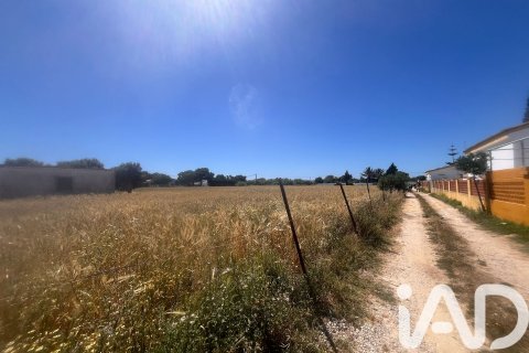 Commercial property à vendre à Vejer de la Frontera, Cadiz, EspagneNo. 172111 - photo 3