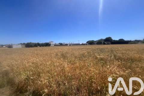 Commercial property à vendre à Vejer de la Frontera, Cadiz, EspagneNo. 172111 - photo 7