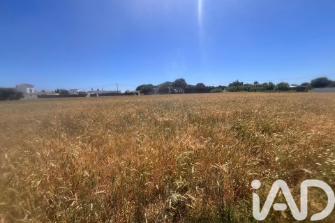 Commercial property à vendre à Vejer de la Frontera, Cadiz, EspagneNo. 172111 - photo 8