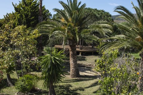 Lägenhet till salu i Tarifa, Cadiz, Spanien 7 sovrum, 269 kvm. Nr. 172109 - foto 21