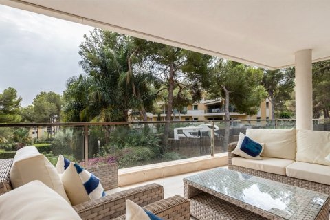 Apartament w Sol De Mallorca, Mallorca, Hiszpania 3 sypialnie, 169 mkw. nr 148189