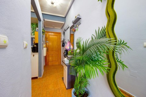 Apartament w Torrevieja, Alicante, Hiszpania 2 sypialnie, 65 mkw. nr 161067 – zdjęcie 12