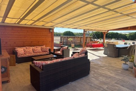 Продажа финки в Сан-Мигель-де-Салинас, Аликанте, Испания 5 спален, №146432 - фото 2