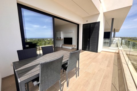 Lägenhet till salu i Pinar De Campoverde, Alicante, Spanien 2 sovrum,  Nr. 146434 - foto 19