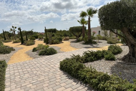 Lägenhet till salu i Pinar De Campoverde, Alicante, Spanien 2 sovrum,  Nr. 146434 - foto 27